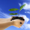 Kabbalah of Character